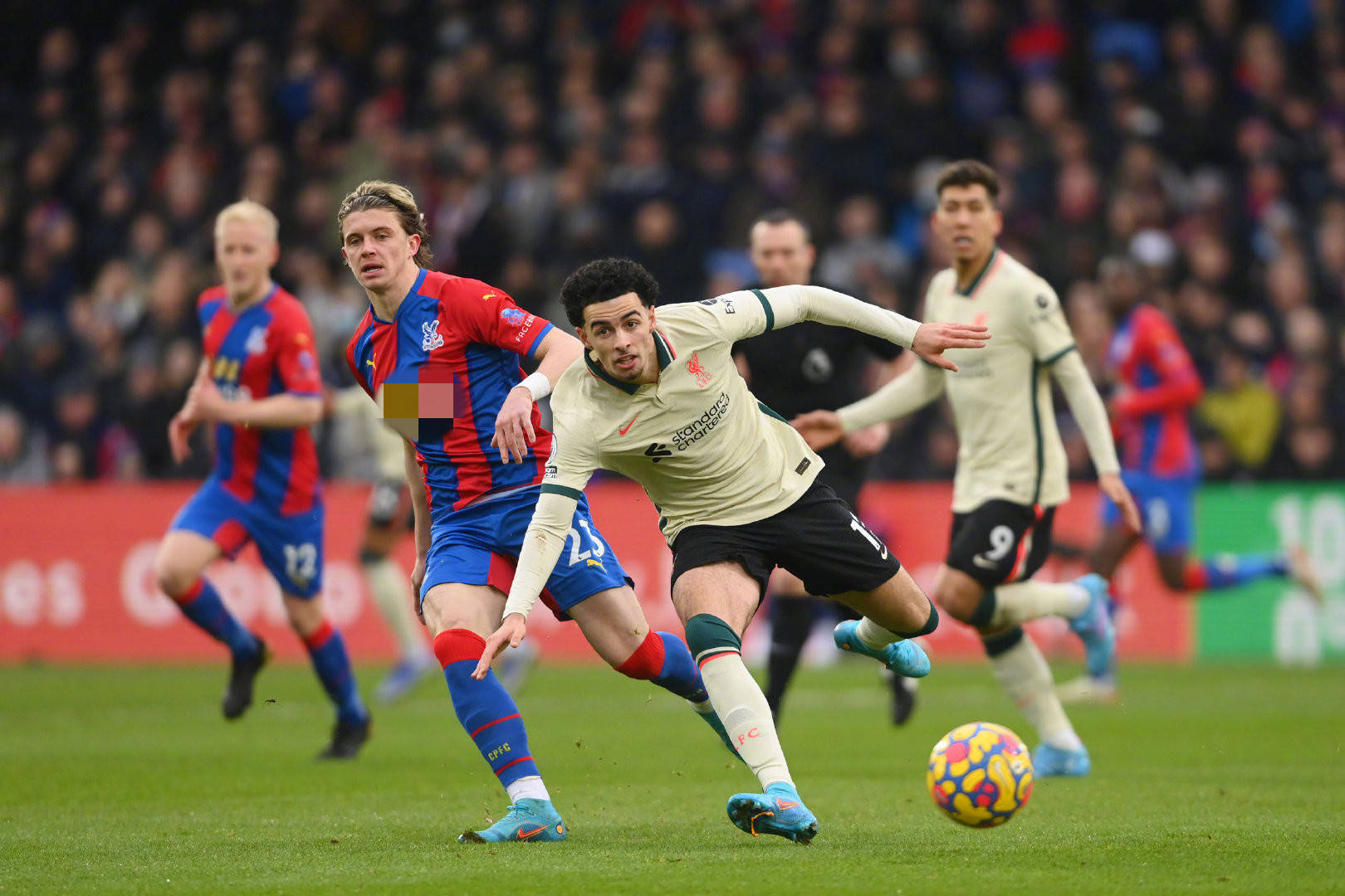 他们的加入 他们的加入